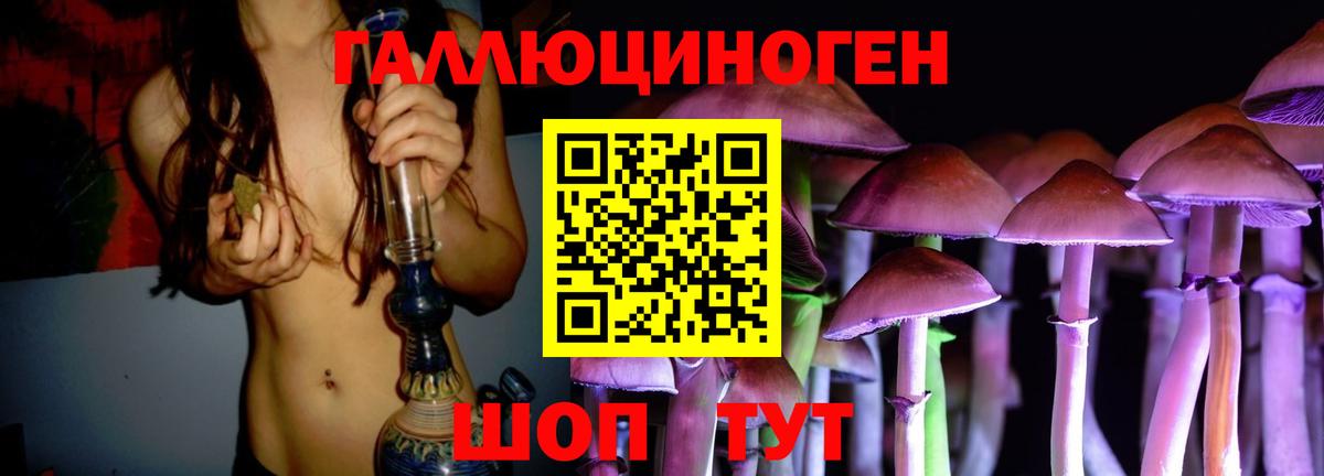 Белая Калитва  наркота  Вход с VPN  Псилоцибиновые грибы Cubensis  Галлюциногенные грибы Magic Shrooms 
